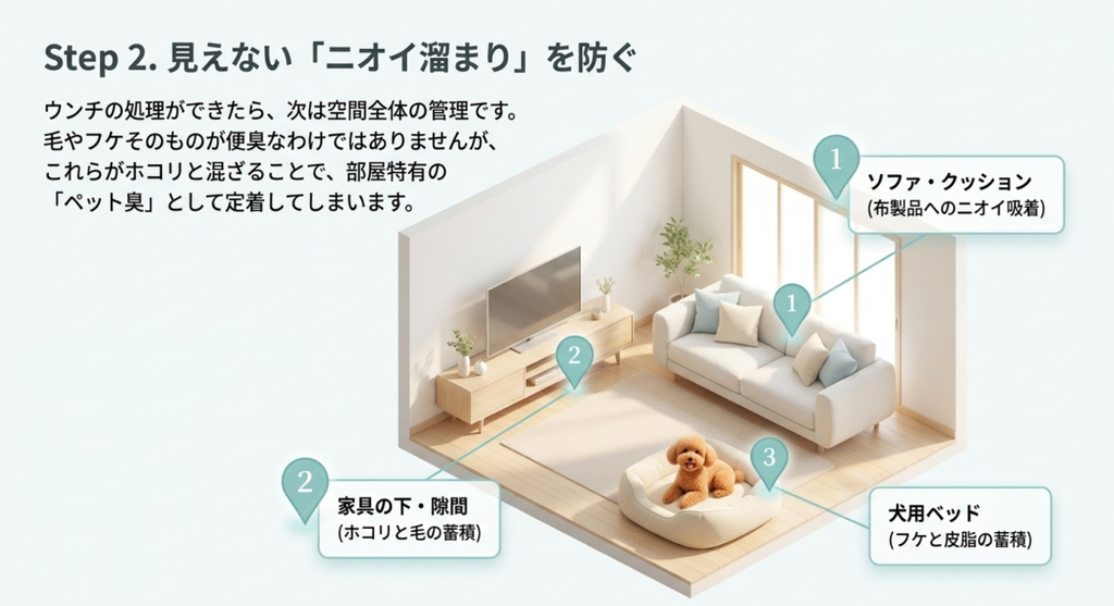 ソファやクッション、家具の下や隙間、犬用ベッドなど犬のニオイや汚れが溜まりやすい場所を示した図